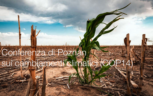 Conferenza di Poznan sui cambiamenti climatici (COP14)