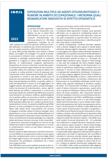 Esposizioni multiple ad agenti oto/neurotossici e rumore in ambito occupazionale