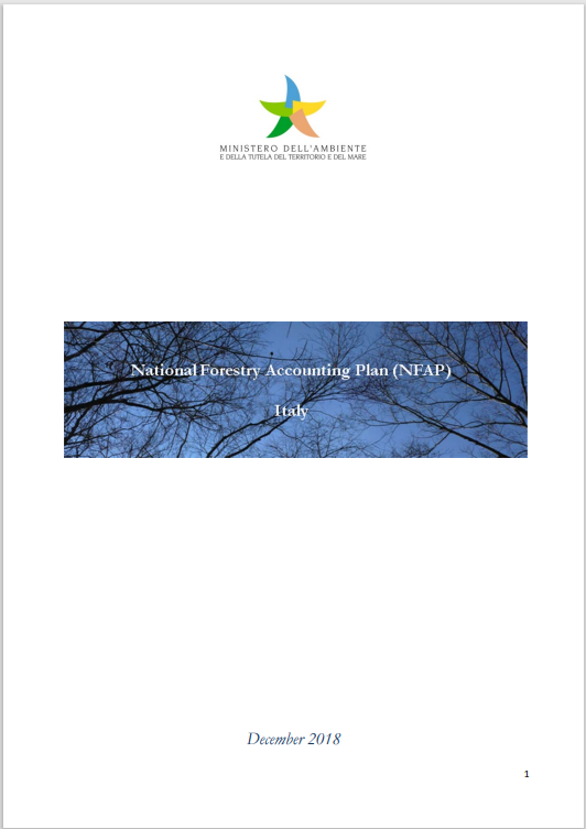 Piano Nazionale di contabilizzazione forestale dell Italia Piano Nazionale di contabilizzazione forestale dell Italia