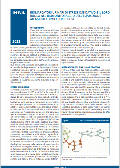 Biomarcatori urinari di stress ossidativo / biomonitoraggio esposizione agenti chimici