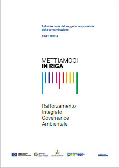 Linee Guida principio comunitario “chi inquina paga"