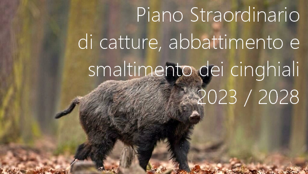Piano Straordinario di catture, abbattimento e smaltimento dei cinghiali