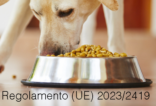 Regolamento (UE) 2023/2419