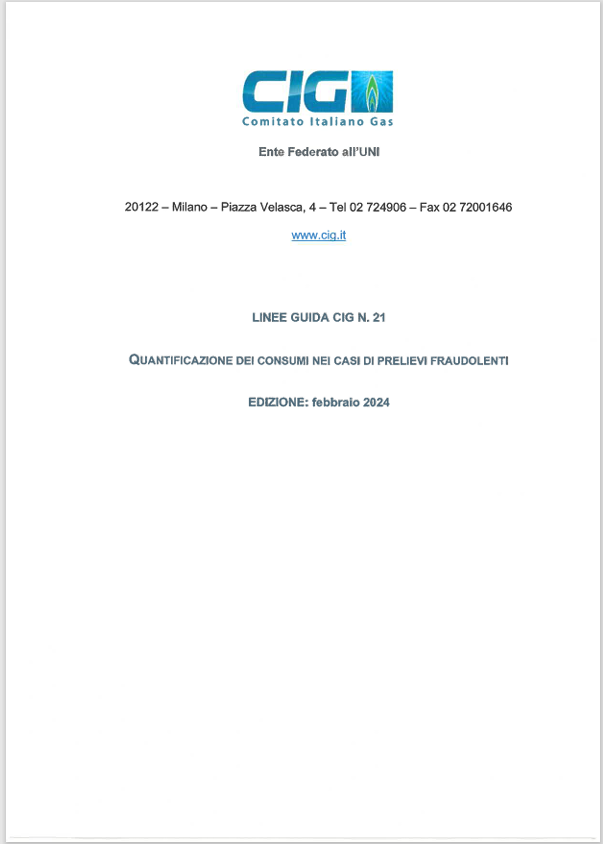Linee Guida CIG n.21 - Quantificazione dei consumi nei casi di prelievi fraudolenti