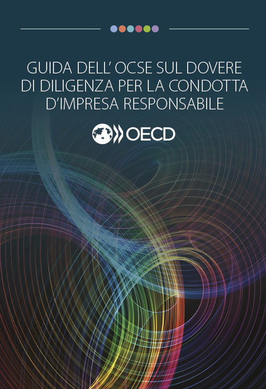 Guida dovere di diligenza (due diligence) condotta responsabile d'impresa