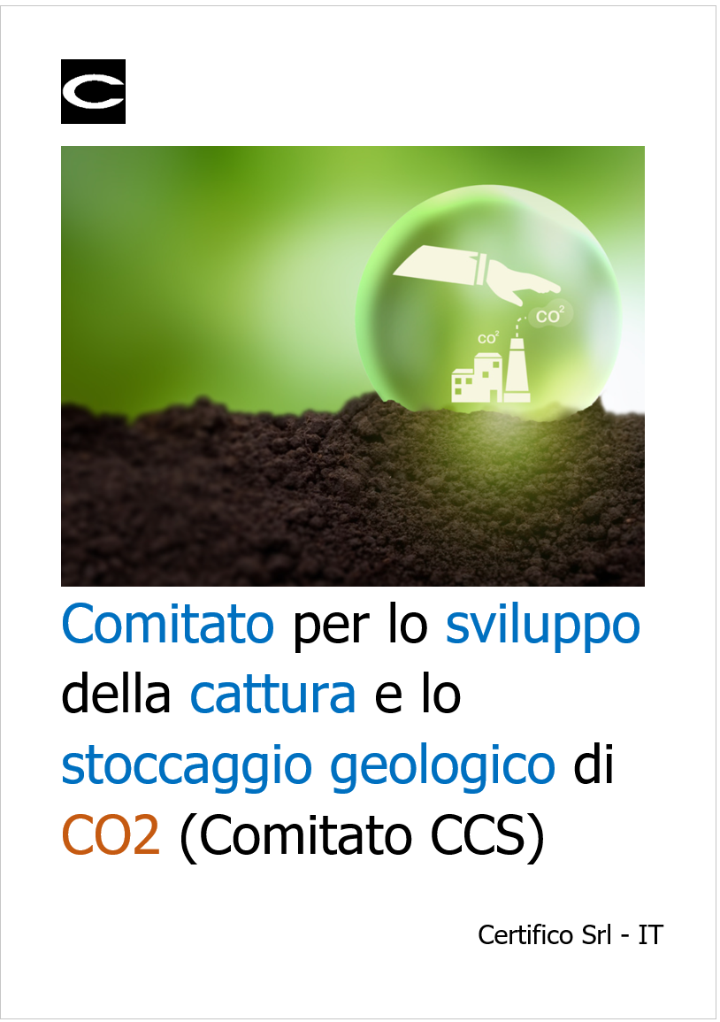 Comitato cattura e stoccaggio geologico di CO2 (Comitato CCS)