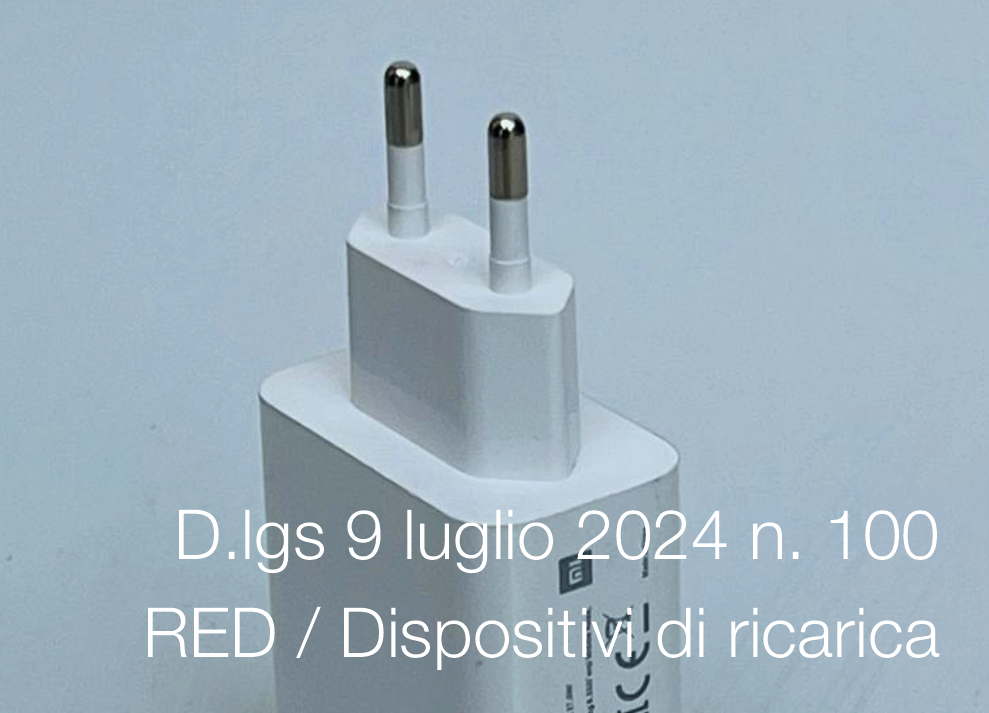 Decreto Legislativo 9 luglio 2024 n. 100