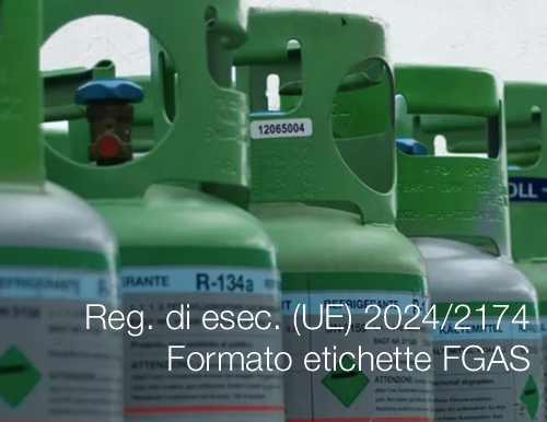 Regolamento di esecuzione (UE) 2024/2174