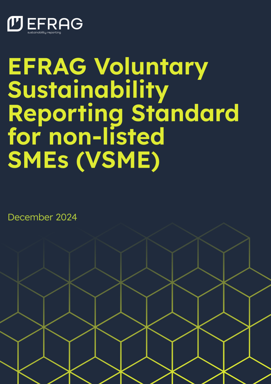 Standard volontario report sostenibilità PMI non quotate