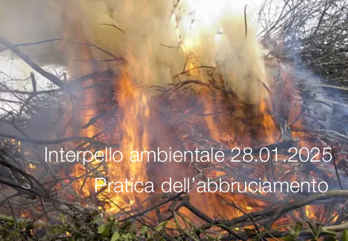 Interpello ambientale 28.01.2025 - Pratica dell’abbruciamento applicata in agricoltura