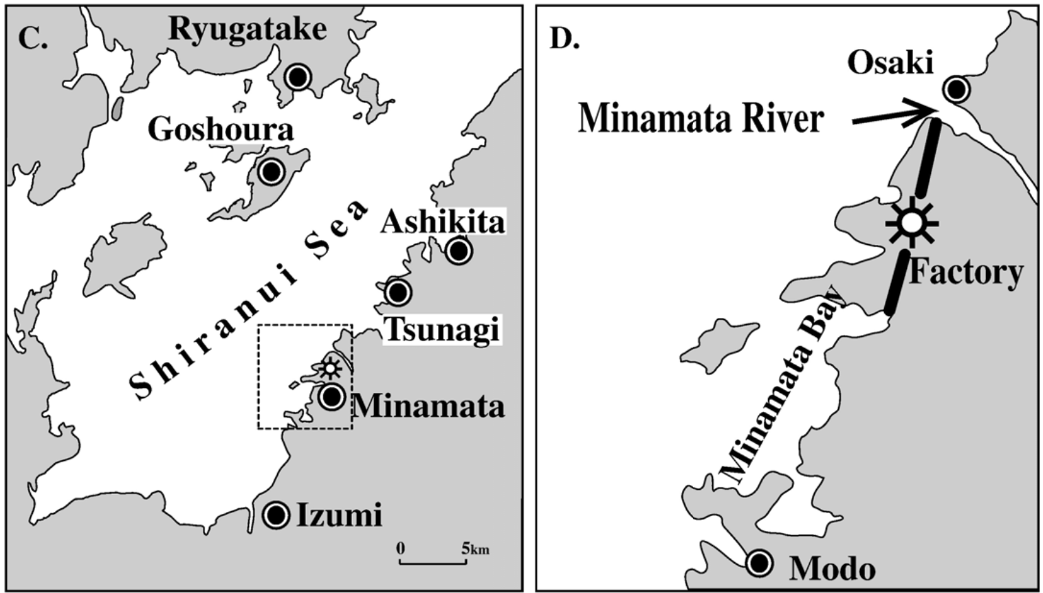 Minamata JP 2 Minamata JP 2