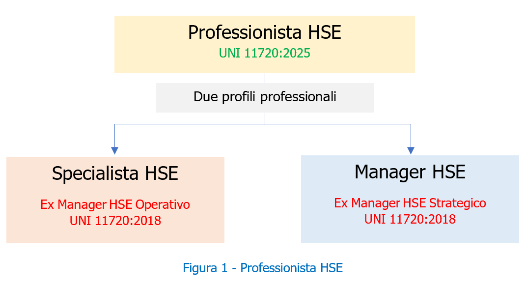 Il professionista HSE   UNI 11720   Figura 1