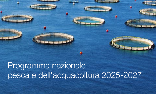 Decreto 16 aprile 2025 