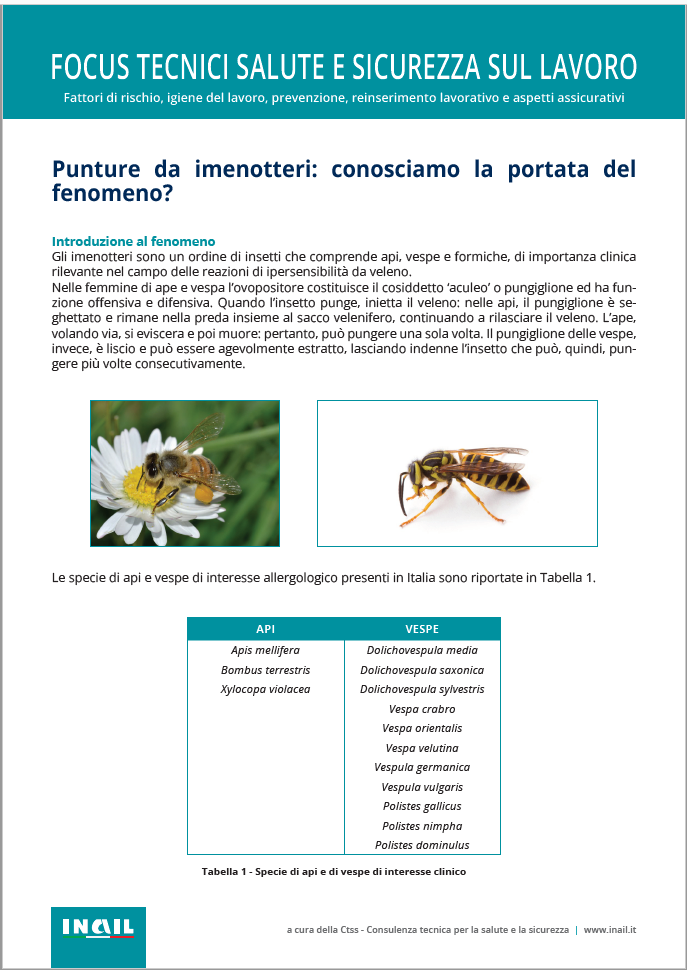 Punture da imenotteri: conosciamo la portata del fenomeno? 