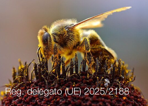Regolamento delegato (UE) 2025/2188