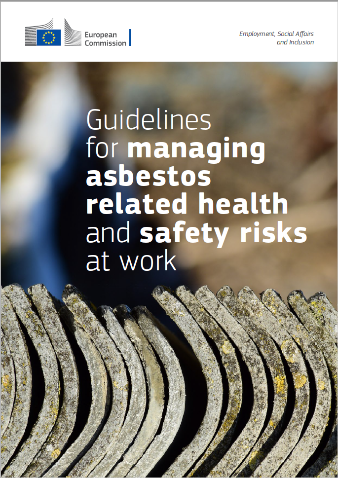 Linee guida gestione dei rischi per la SSL correlati all'amianto