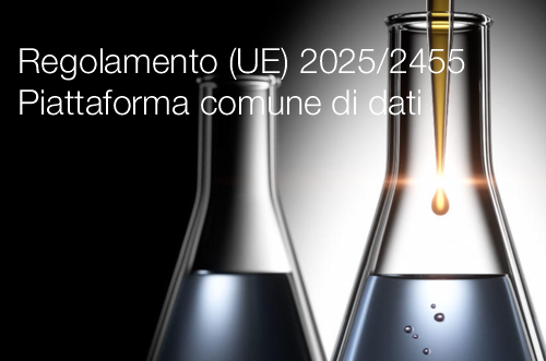 Regolamento (UE) 2025/2455 Piattaforma comune di dati