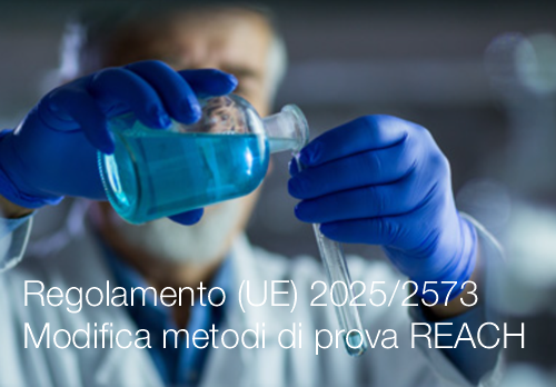 Regolamento (UE) 2025/2573