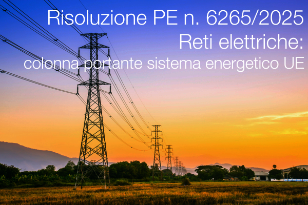 Risoluzione PE n. 6265 del 19 Dicembre 2025