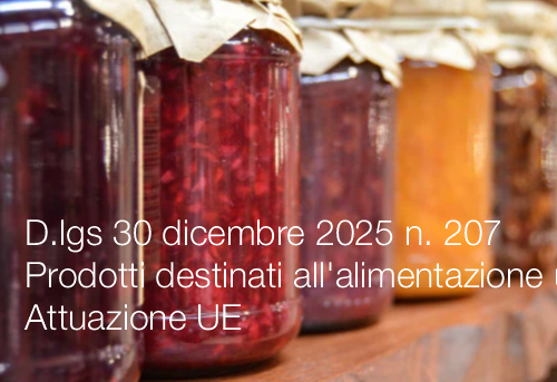 Decreto legislativo 30 dicembre 2025 n. 207 