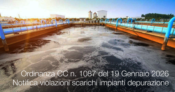 Ordinanza Corte di Cassazione n. 1087 del 19 Gennaio 2026