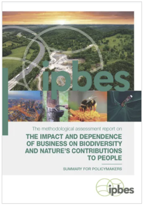 Rapporto metodologico globale “Business and Biodiversity” / IPBES 2026
