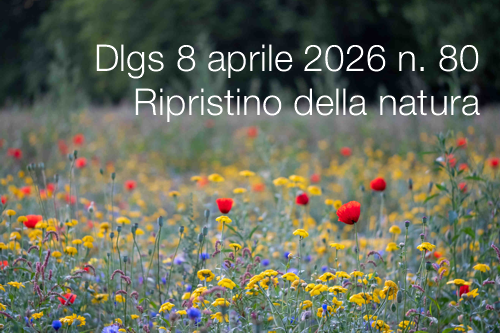 Decreto legislativo 8 aprile 2026 n. 80