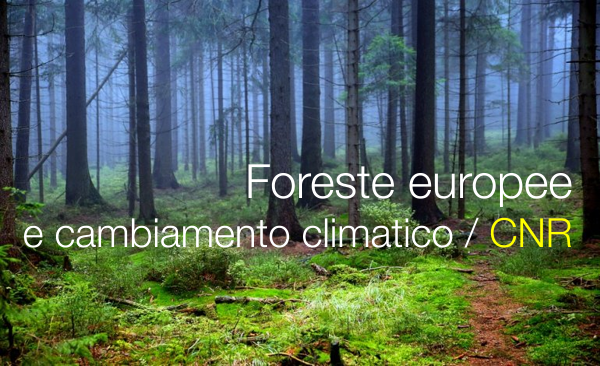 Foreste europee e cambiamento climatico / CNR