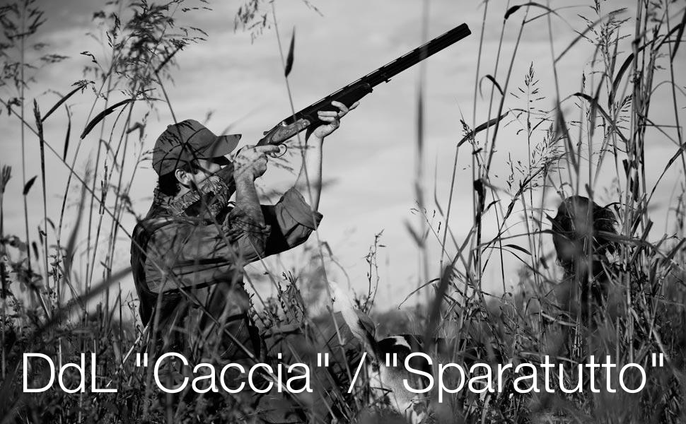 DdL "Caccia" / "Sparatutto"