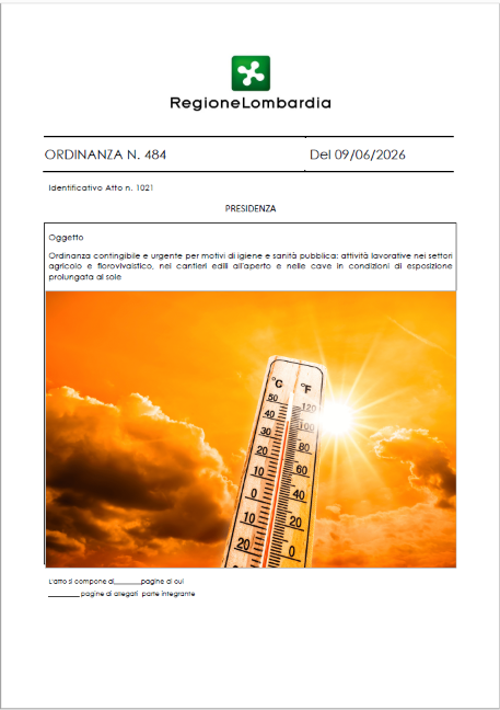 Ordinanza RL n. 484 del 9 giugno 2026 Ordinanza RL n. 484 del 9 giugno 2026