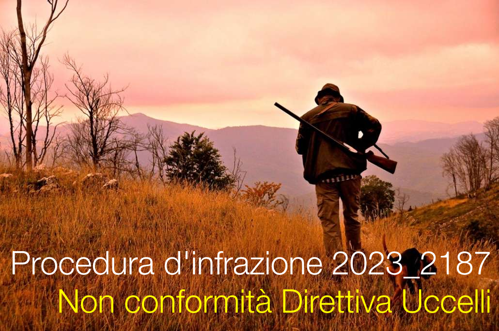 Procedura d'infrazione 2023_2187 / Non conformità Direttiva Uccelli