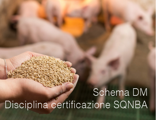 Schema DM Disciplina certificazione SQNBA