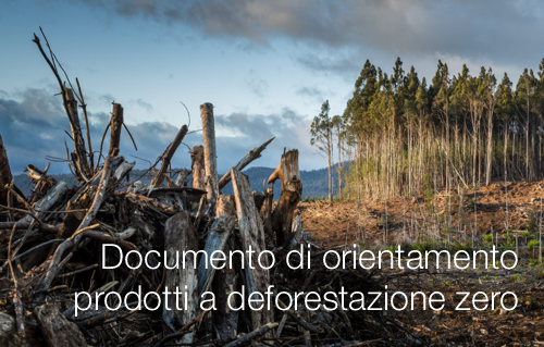 Documento di orientamento Regolamento (UE) 2023/1115 prodotti a deforestazione zero Documento di orientamento Regolamento (UE) 2023/1115 prodotti a deforestazione zero