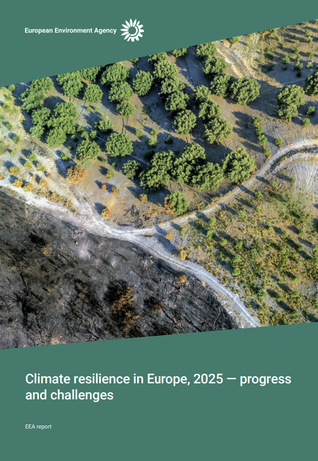 Climate resilience in Europe, 2025 - progress and challenges