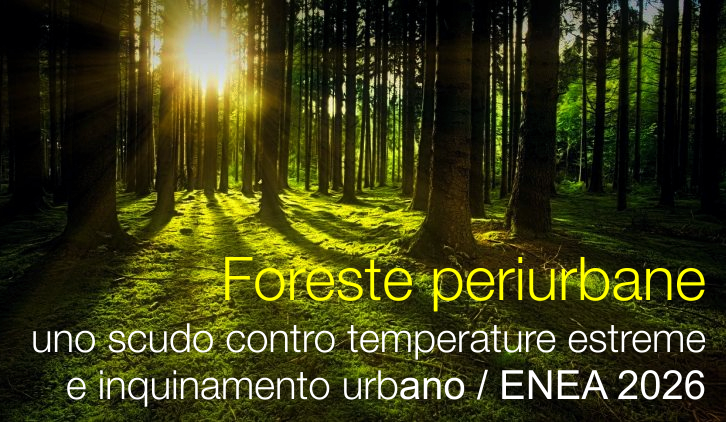 Foreste periurbane, uno scudo contro temperature estreme e inquinamento urbano / ENEA 2026