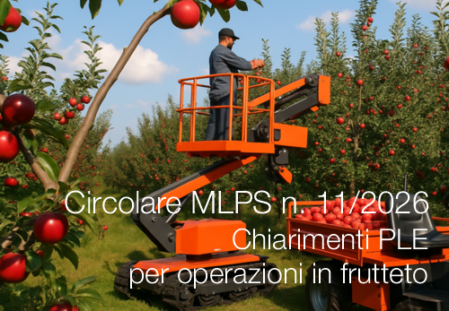 Circolare del 26 Ottobre 2026 n. 11