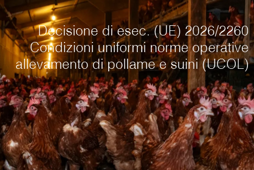 Decisione di esecuzione (UE) 2026/2260