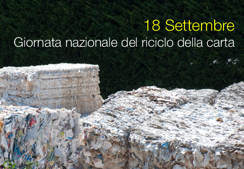 Legge 15 ottobre 2026 n. 195 