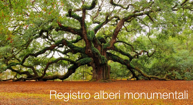 Decreto 23 Ottobre 2014 Registro alberi monumentali