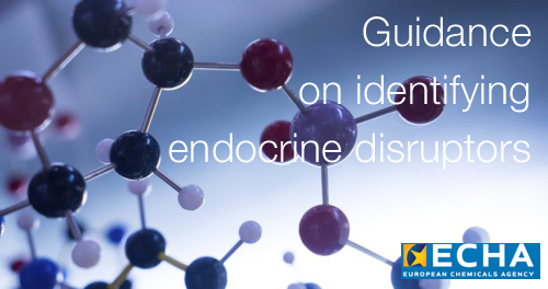Guidance on identifying endocrine disruptors