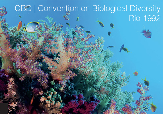 Convention on Biological Diversity CBD