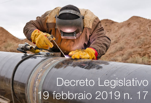 Decreto Legislativo 19 febbraio 2019 n  17
