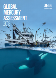 Global Mercury Assessment