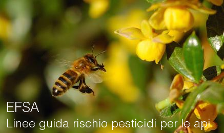 Linee guida rischio pesticidi per le api EFSA