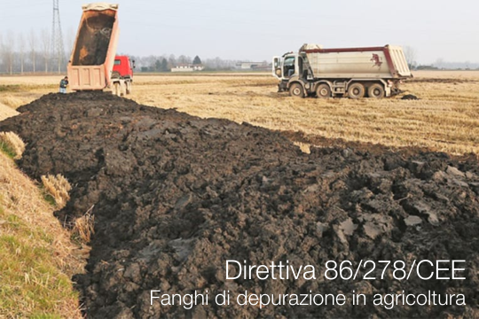 Direttiva 86 278 CEE fanghi di depurazione in agricoltura