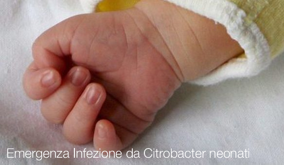 Emergenza Infezione da Citrobacter neonati