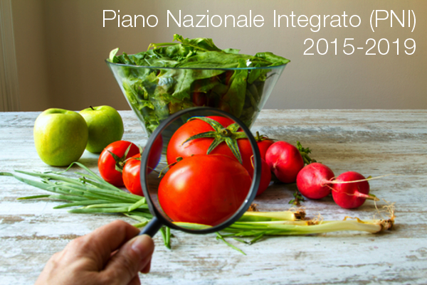 Piano Nazionale Integrato  PNI  2015 2019