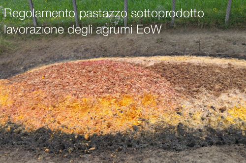 Regolamento pastazzo sottoprodotto lavorazione degli agrumi EoW
