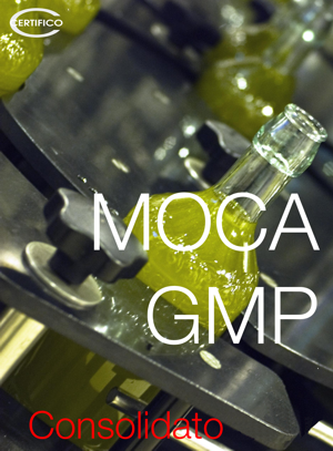 MOCA GMP Consolidato small