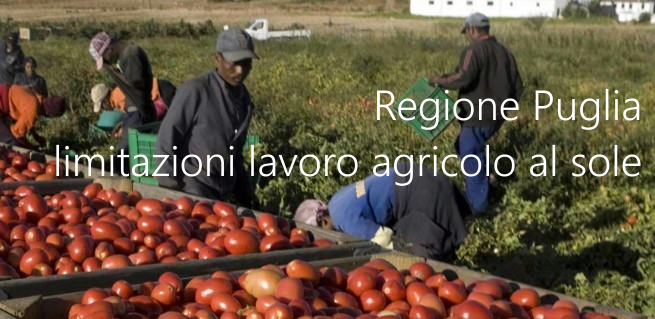 Ordinanza Regione Puglia n  18e 2021   Limitazioni lavoro agricolo al sole
